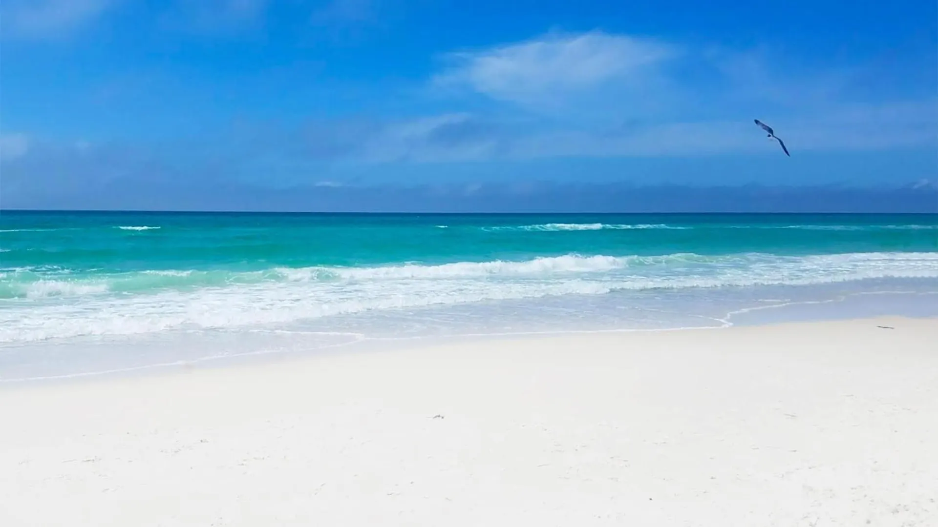 Nyaraló Laketown Wharf 1120 By Emerald Coast Retreats Panama City Beach